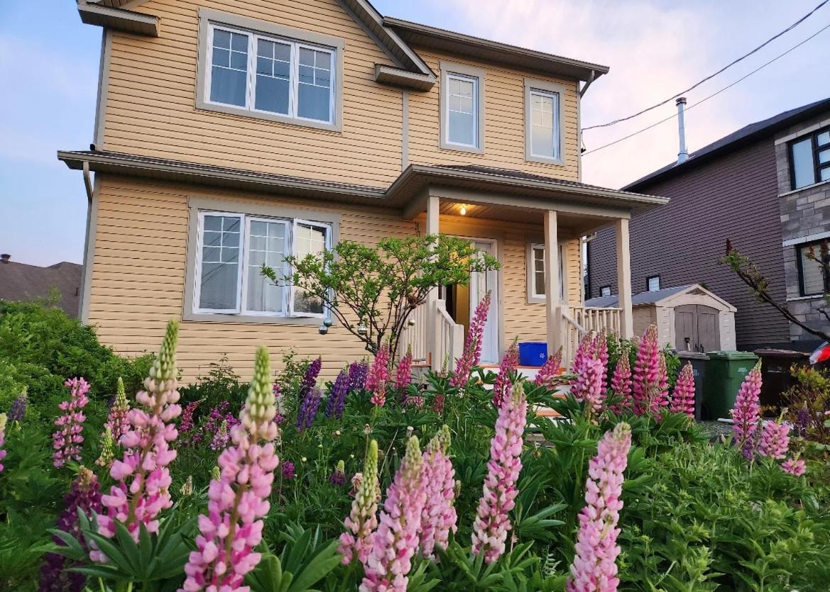 Maison Chaleureuse, Energetique Et Florale シェルブルック エクステリア 写真
