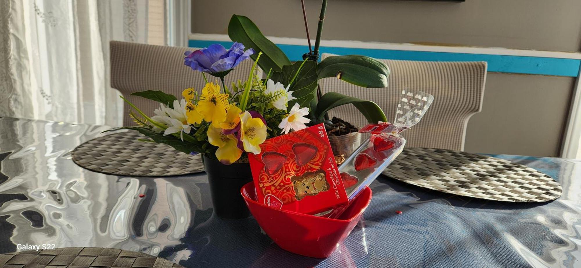 Maison Chaleureuse, Energetique Et Florale シェルブルック エクステリア 写真